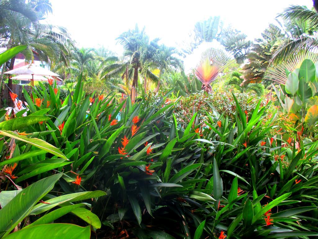 Ban Khlong Haeng Happiness Resort מראה חיצוני תמונה