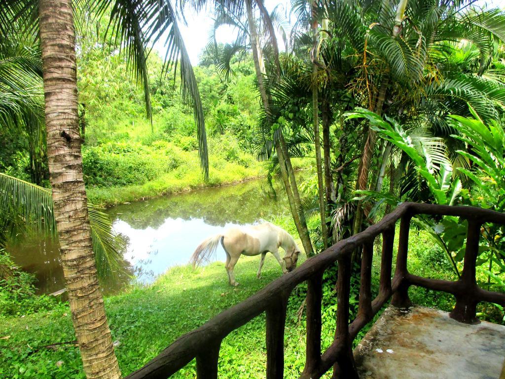 Ban Khlong Haeng Happiness Resort מראה חיצוני תמונה