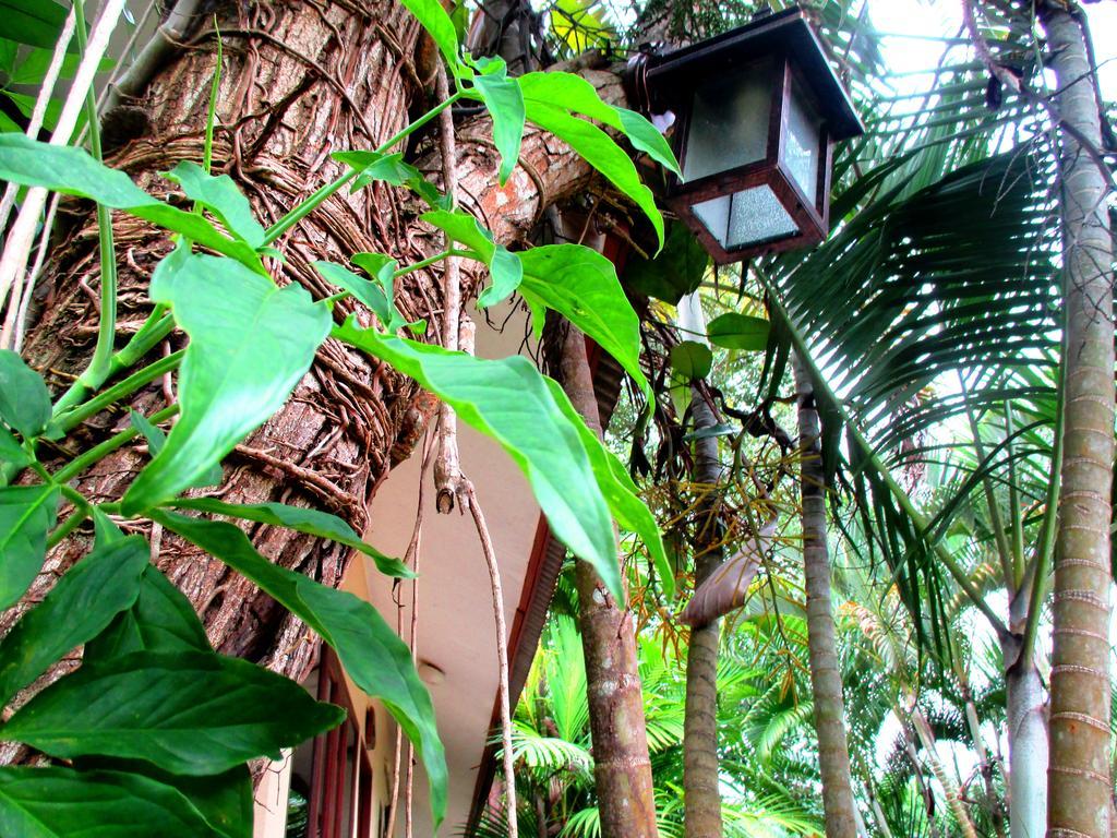 Ban Khlong Haeng Happiness Resort מראה חיצוני תמונה